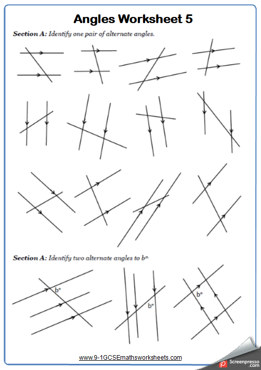 Angles On Parallel Lines Worksheet 2